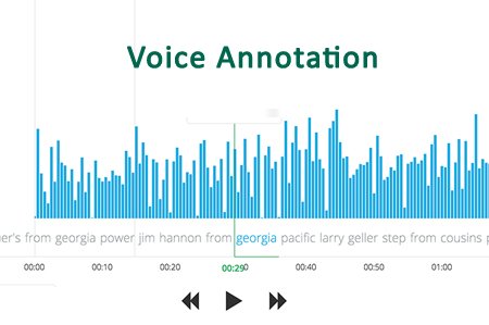 voice annotation