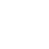 ecommerce-icon